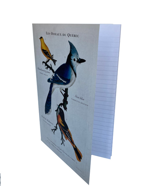 carnet d'écriture Les oiseaux du Québec, le geai bleu