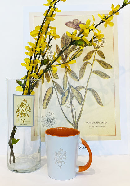 Vase à fleurs cylindrique en verre Thé du Labrador