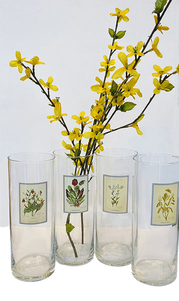 Vase à fleurs cylindrique en verre Myosotis